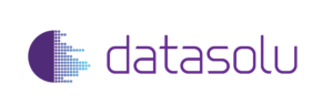 Datasolu's logo