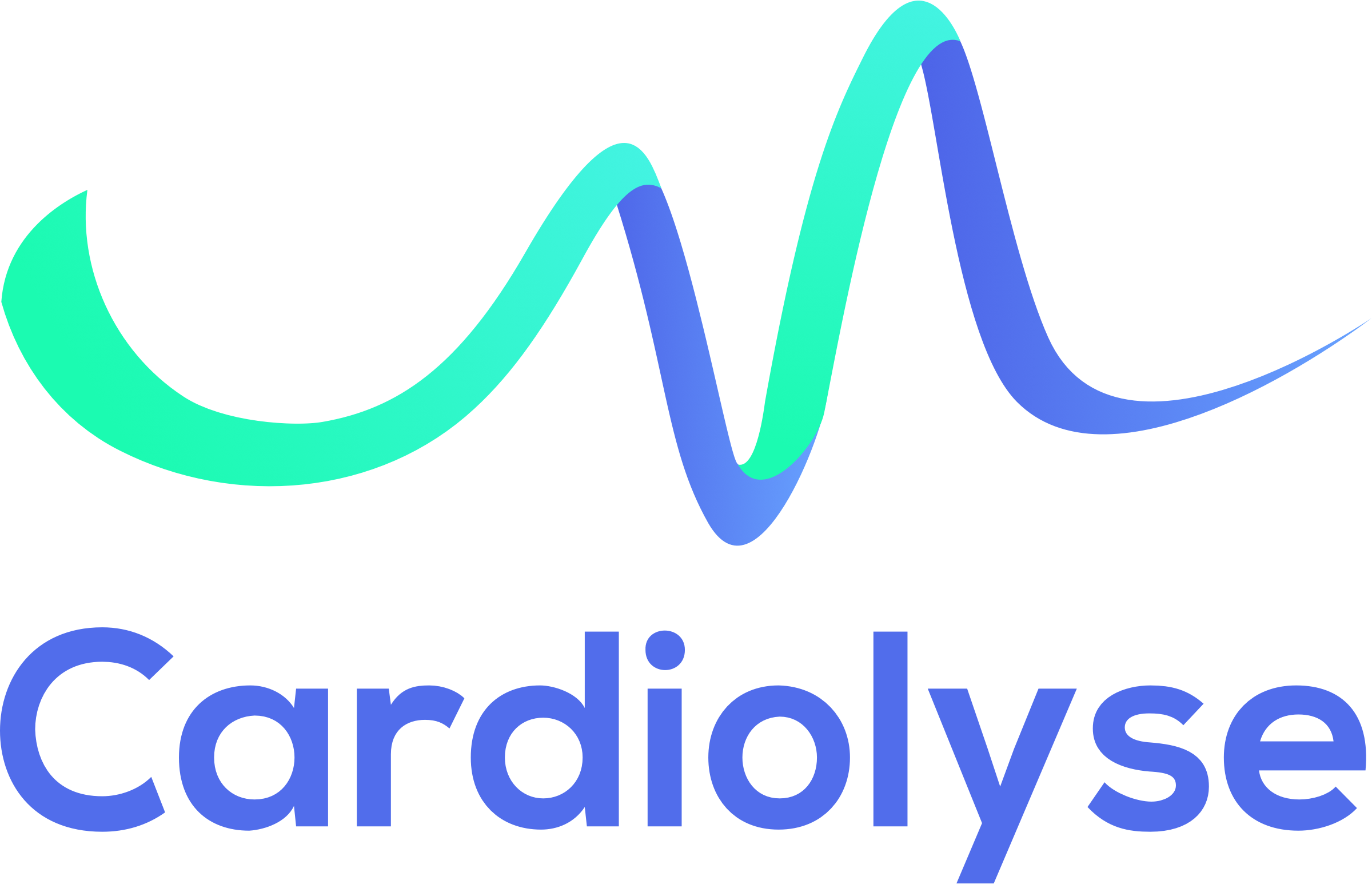Logo of Cardiolyse