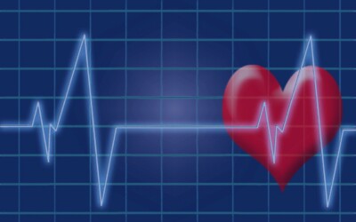 HATO brings AI to healthcare by improving detection and interpretation of heart problems